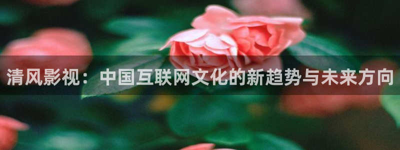 琪琪午夜倫理影院在線觀看：清風影視：中國互聯網文化的新趨勢與未來方向