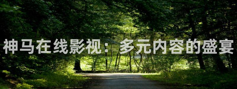 99久久倫理視頻：神馬在線影視：多元內容的盛宴