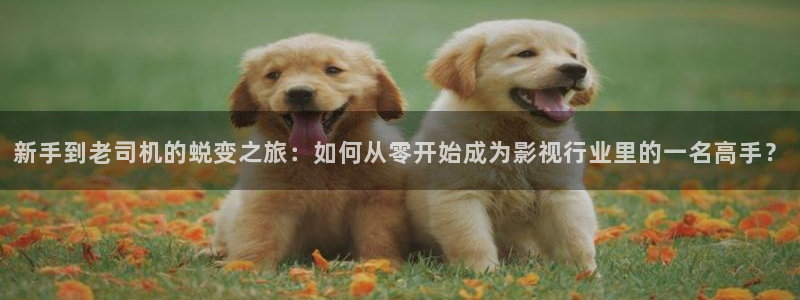 倫理視頻日本：新手到老司機的蛻變之旅：如何從零開始成為影視行業里的一名高手？