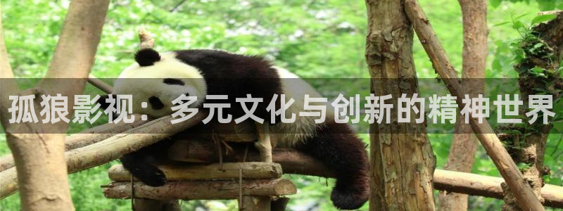 桔子倫理影院：孤狼影視：多元文化與創(chuàng)新的精神世界