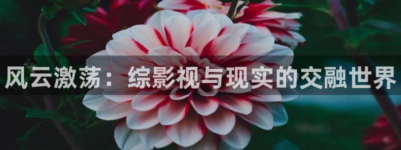 18倫理影院：風云激蕩：綜影視與現實的交融世界