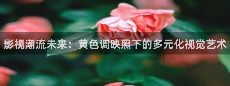 8090倫理影院：影視潮流未來：黃色調映照下的多元化視覺藝術